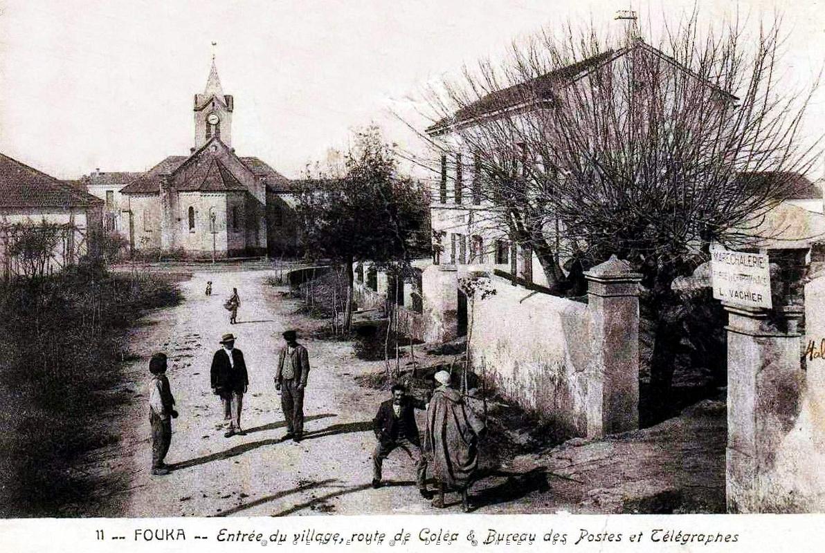 Fouka - Route de Colea.jpg